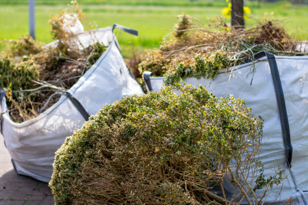 Professional Junk Removal Services in Mabscott, WV